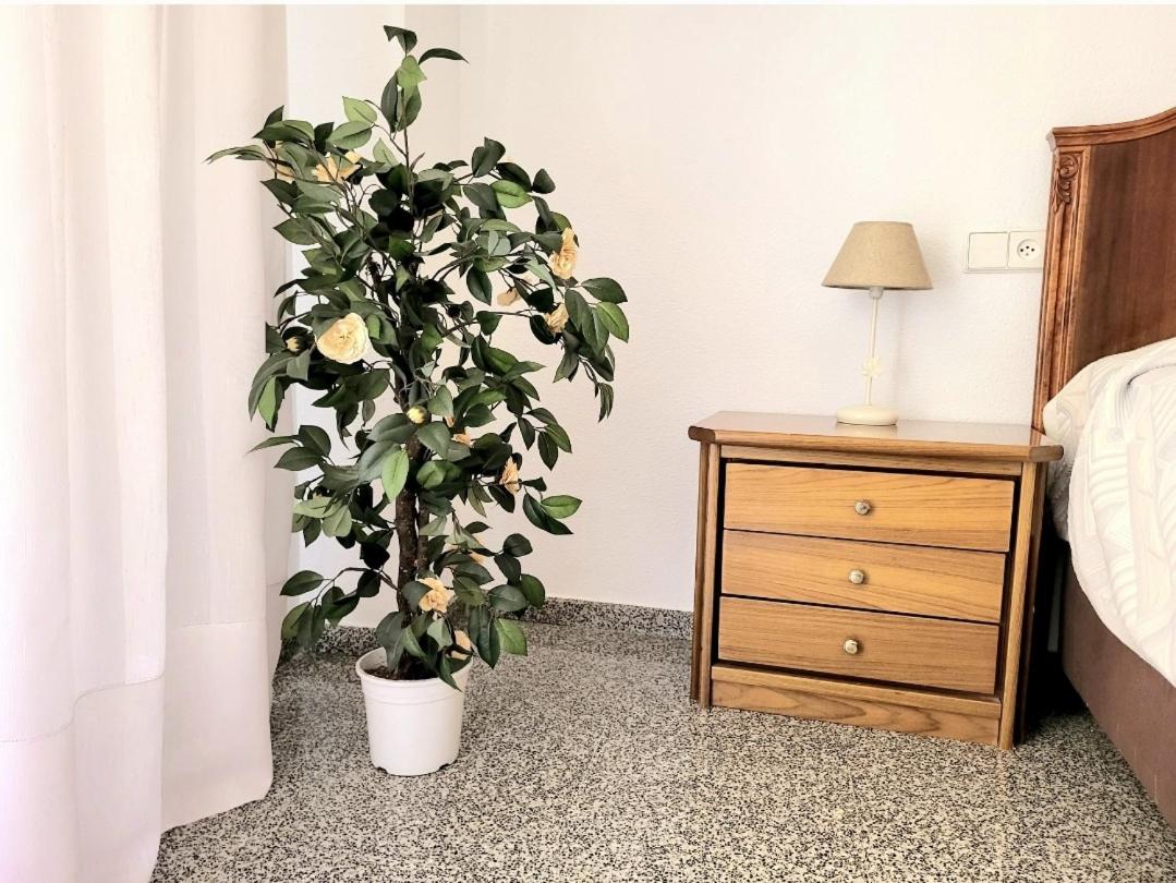Amistosa, Habitacion Con Balcon, Alicante, Playa, Centro, Rambla, Mercado Apartman Kültér fotó